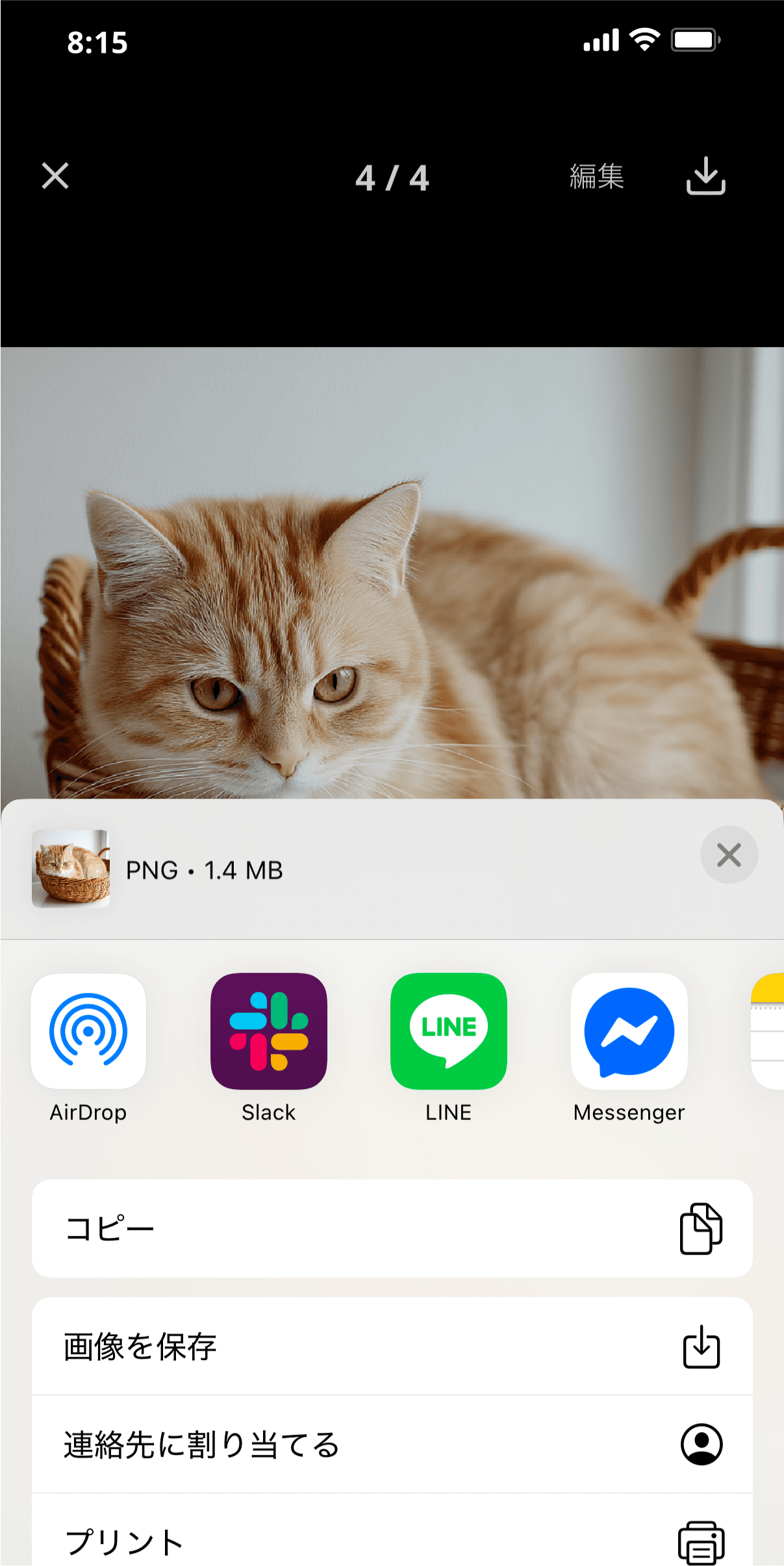 スマホから写真をダウンロード・共有する画面